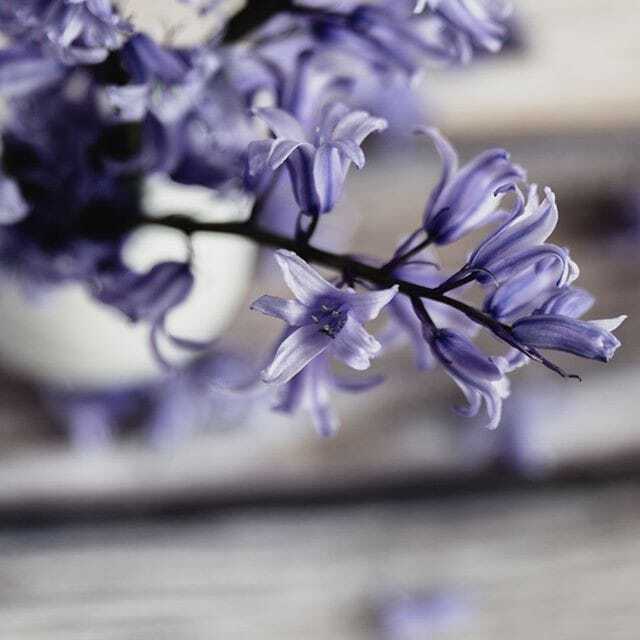 bg-image